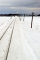 1301tsugaru (167)