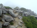 20110822 (21)