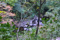 1210123_14 (15)