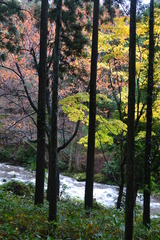 2011isikawa (182)