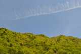 1105早川 (38)