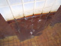 niigata3 (33)