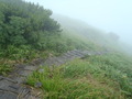 20110823 (106)