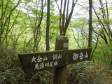 20100515 (8)