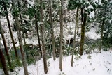 200401_10048 (2)