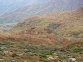 2011nasu (16)