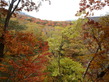 2011nasu (40)