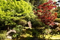 20160504 (398)