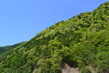 1105早川 (39)