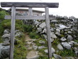 iide2 (33)