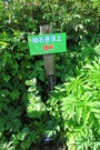 yakeishi (41)