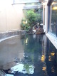 20130503 (129)