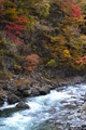 121110_11yubiso (358)