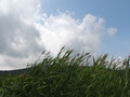 hukenoyu (126)