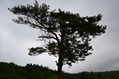 niigata2 (66)