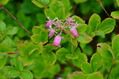 niigata2 (49)