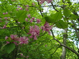 20110604mitou (8)