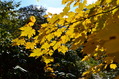 20111009 (84)
