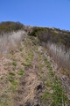 20130503 (44)