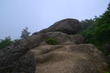niigata2 (25)