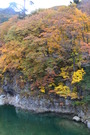 121110_11yubiso (398)