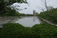 20160505 (164)
