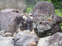 iwama (20)