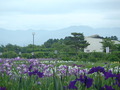 niigata2013 (5)