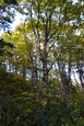 20111009 (137)