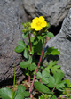 20130503 (84)