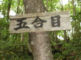 nanasigure011