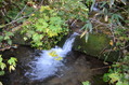 20111009 (80)