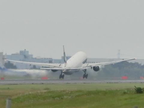 CIMG8481