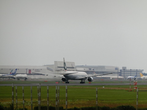 CIMG8480