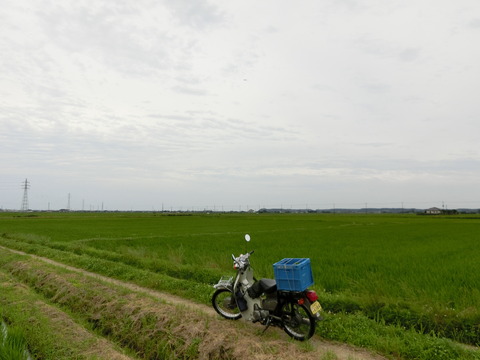CIMG8435