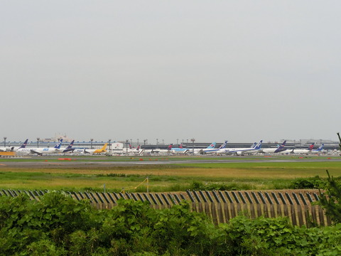 CIMG8441