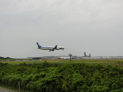 CIMG8458