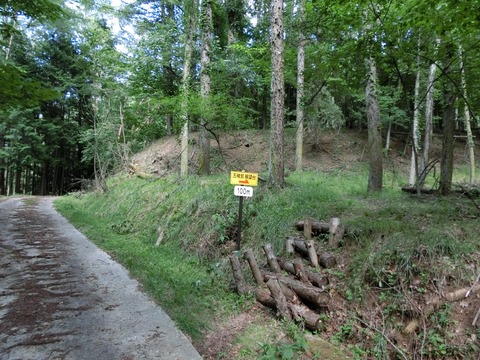 CIMG7843
