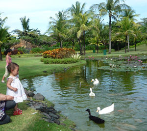 2011_0503_104651AA