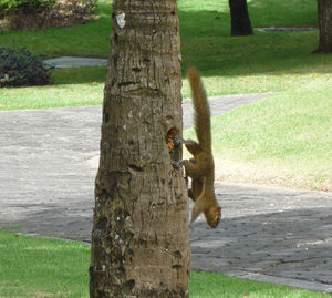 2011_0502_134153AA