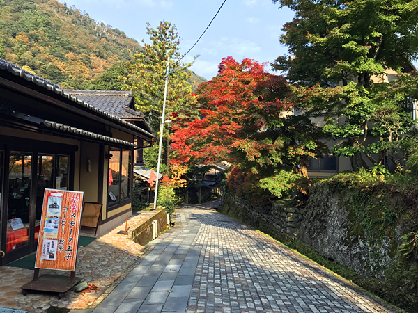 3山中の小道