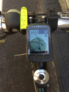 WAHOO ELEMNT BOLT