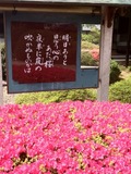 23 Kyoto-1