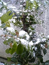 04d721c6.jpg