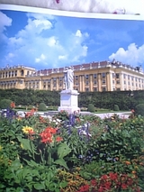 ウィーン景色