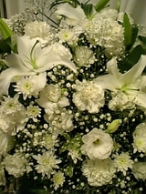 211d4437.jpg