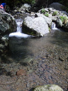 吐竜の滝