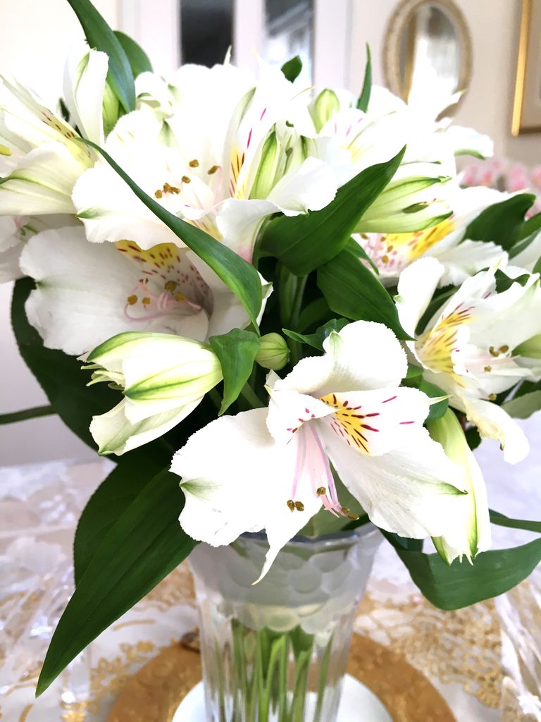 白つつじ