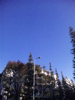 11/3 2010晴天