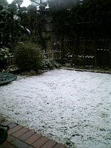 2008初雪2